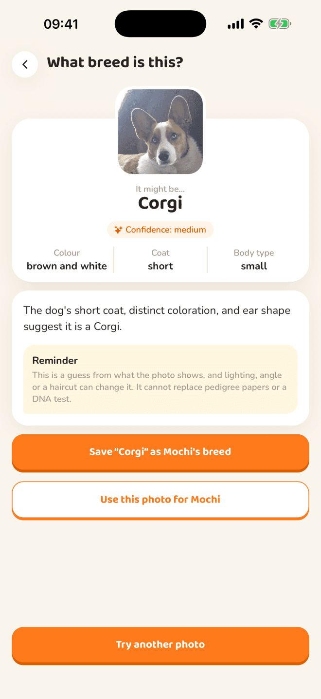 Miyu breed scanner result: it might be a Corgi, confidence medium